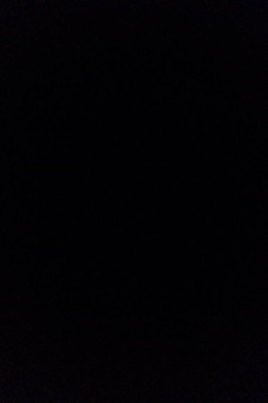 Escort girl Настя